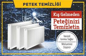 Petek temizliği